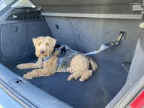 Trailstone dog seat belt large - afbeelding 3