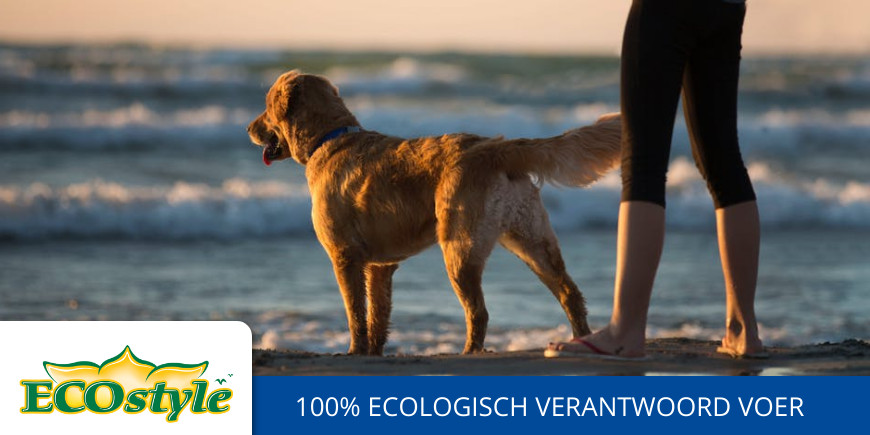 Goedkoop Ecostyle hondenvoer kopen. Ecostyle brokken ervaringen.