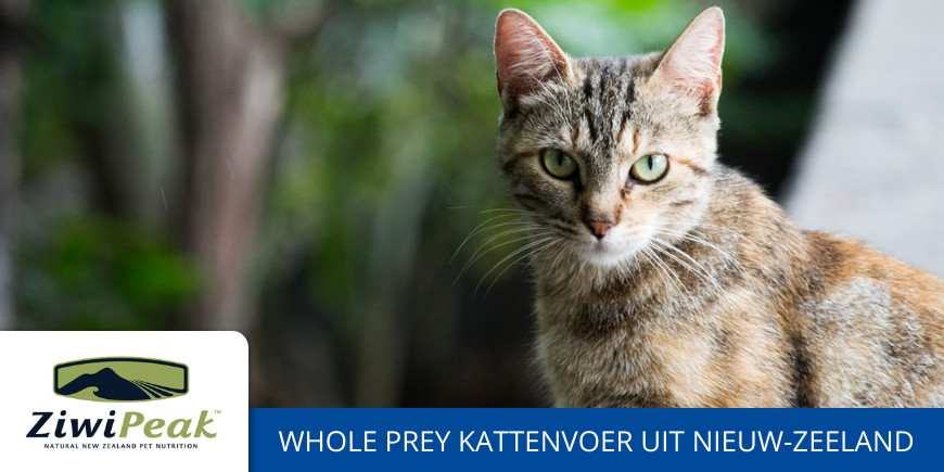 Goedkoop Ziwipeak kattenvoer kopen. Ziwipeak kat ervaringen