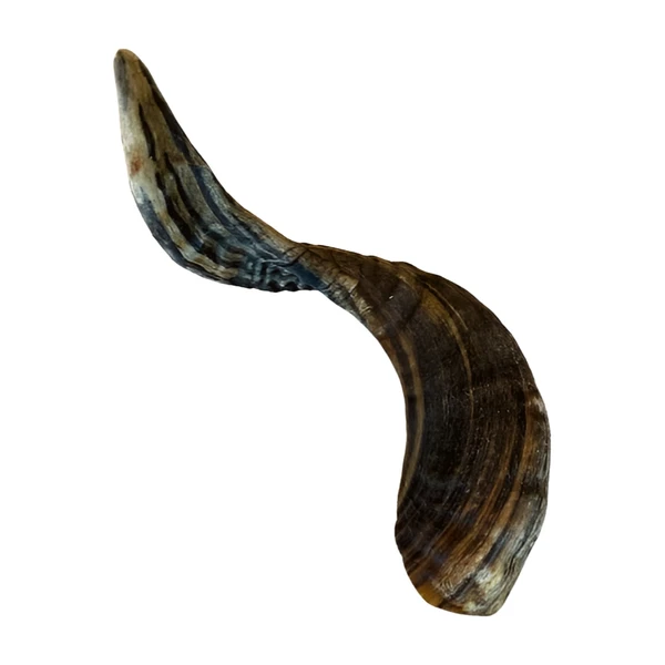 Abby Nature natuurlijke snack Ramshoorn - afbeelding 1