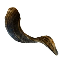 Abby Nature natuurlijke snack Ramshoorn - afbeelding 3