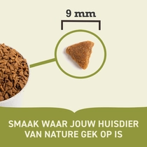 Acana cat indoor entrée 340 gram Kattenvoer - afbeelding 3