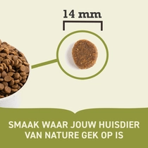 Acana dog sport & agility 11,4 kg Hondenvoer - afbeelding 5