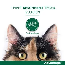 Advantage kat 40 tot 4 kg 4 pipetten - afbeelding 2