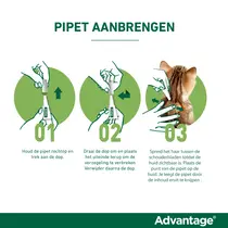 Advantage kat 40 tot 4 kg 4 pipetten - afbeelding 4