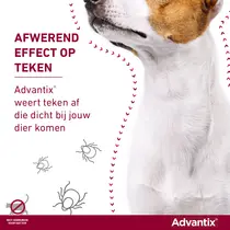 Advantix hond 100/500 4kg tot 10kg 4 pipetten - afbeelding 3