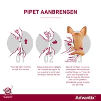 Advantix hond 100/500 4kg tot 10kg 6 pipetten - afbeelding 4