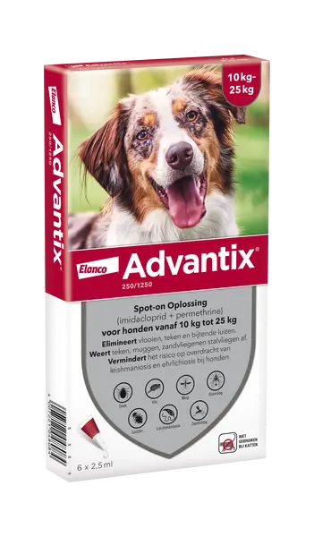 Advantix hond 250/1250 10kg tot 25kg 6 pipetten - afbeelding 1