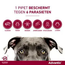 Advantix hond 600/3000 40-60kg 4 pipetten - afbeelding 2