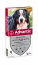 Advantix hond 600/3000 40kg tot 60kg 4 pipetten