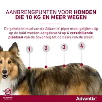Advantix hond 600/3000 40kg tot 60kg 6 pipetten - afbeelding 4