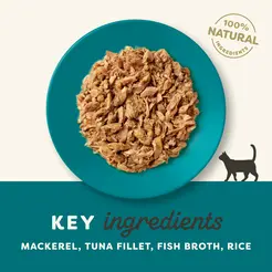 Applaws blik oceaanvis kattenvoer 24X70gr. - afbeelding 3