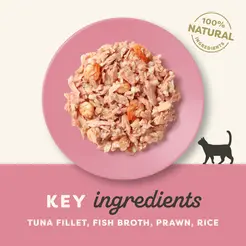 Applaws blik tonijnfilet&garnaal kattenvoer 70gr. - afbeelding 3