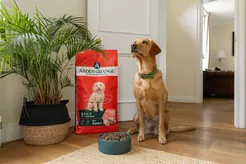 Arden grange dog adult kip 12 kg Hondenvoer - afbeelding 8