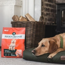 Arden grange dog adult kip 2 kg Hondenvoer - afbeelding 6