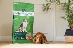 Arden grange dog adult lam 12 kg Hondenvoer - afbeelding 6