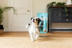 Arden grange dog adult light 2 kg Hondenvoer - afbeelding 7