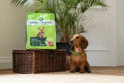 Arden grange dog adult mini lam 2kg Hondenvoer - afbeelding 7