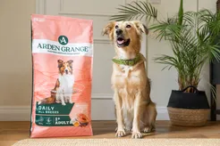 Arden grange dog adult zalm 12 kg Hondenvoer - afbeelding 6