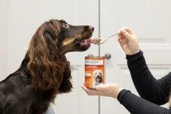Arden grange dog blik chicken&rice 395 gram Hondenvoer - afbeelding 2