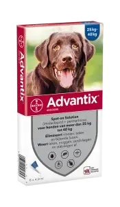 Advantix hond 400/2000 25kg tot 40kg 4 pipetten