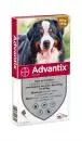 Advantix hond 600/3000 40kg tot 60kg 4 pipetten