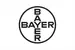 Bayer Drontal