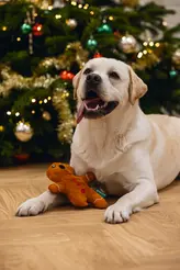 Beeztees kerst gingerbread met piep - afbeelding 3