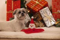 Beeztees kerst knuffeldoek kerstman met piep hondenspeelgoed - afbeelding 3