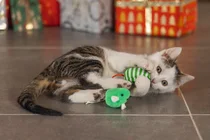 Beeztees kerst muisjes catnip 4 stuks - afbeelding 4