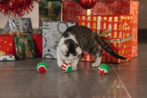 Beeztees kerst tennisballen 3 stuks kattenspeelgoed - afbeelding 3