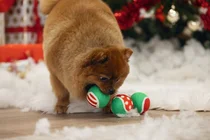 Beeztees kerst tennisballen 3st. zonder piep hondenspeelgoed - afbeelding 4