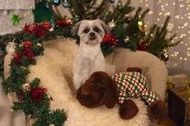 Beeztees kerst XL knuffel bruine hond met muziek hondenspeelgoed - afbeelding 2