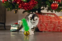 Beeztees kerstbel met veer groen - afbeelding 3