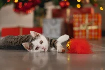 Beeztees kerstbel met veer rood - afbeelding 2