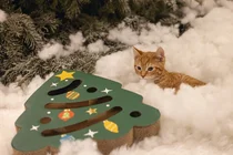 Beeztees kerstboom krabspeelgoed met bal - afbeelding 5