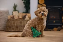 Beeztees kerstboom noel groen zonder piep 20cm hondenspeelgoed - afbeelding 2