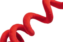 Beeztees kerstman spiraal knuffel met piep hondenspeelgoeed - afbeelding 4