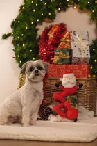 Beeztees kerstman spiraal knuffel met piep hondenspeelgoeed - afbeelding 2