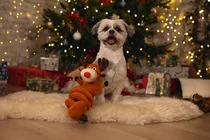 Beeztees rendier spiraal knuffel met piep hondenspeelgoeed - afbeelding 2