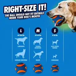 Chuckit ultra squeaker ball large - afbeelding 3