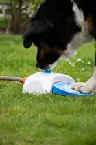 CoolPets Splash Water Fountain - afbeelding 4