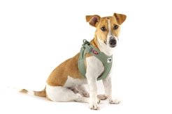 Curli Vest Harness Clasp Air-Mesh Olive M - afbeelding 3