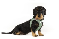 Curli Vest Harness Clasp Air-Mesh Olive XL - afbeelding 2