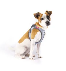 Curli Vest Harness clasp glow medium - afbeelding 5