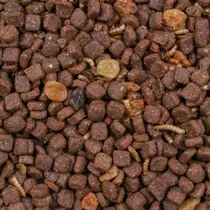 Deli Nature greenline hedgehog mix 600 gram - afbeelding 2