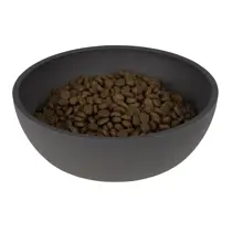 District 70 bamboo dog bowl medium dark grey - afbeelding 2