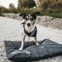 District 70 lodge crate mat x-large dark grey - afbeelding 3