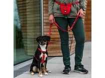 Dog Copenhagen comfort walk air harness large classic red - afbeelding 5