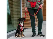 Dog Copenhagen comfort walk air harness small classic red - afbeelding 6